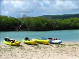 Punta Ballena - GUÁNICA